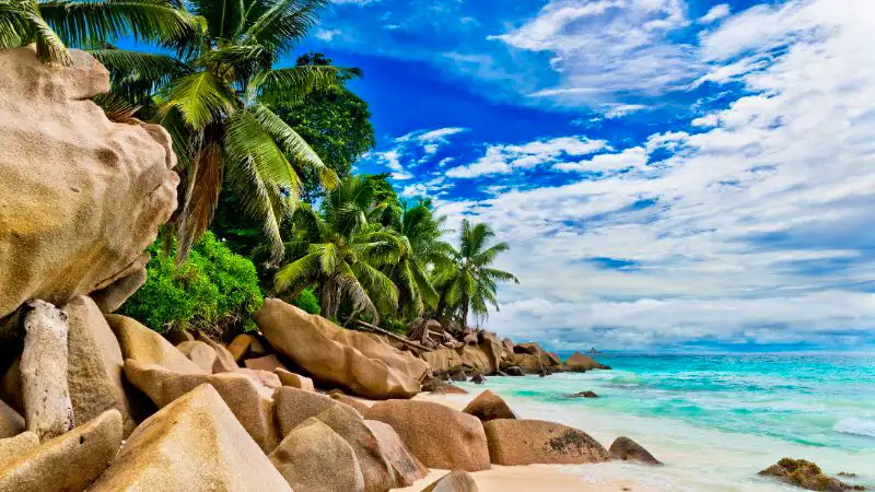 Resort esclusivo alle Seychelles