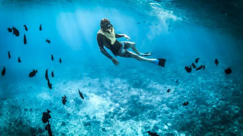 Esperienze autentiche alle Seychelles