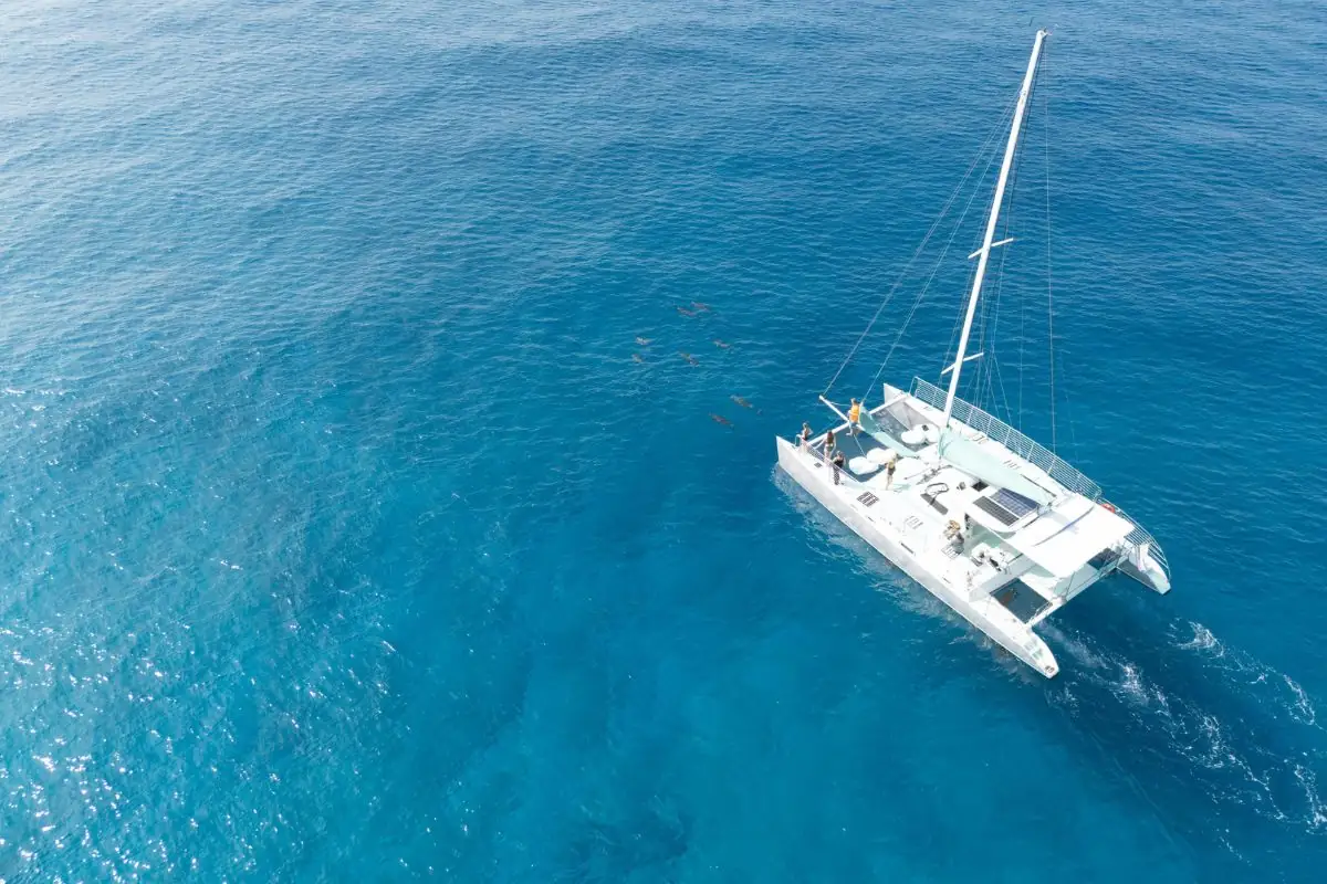 Catamarano durante un viaggio tra le isole delle Seychelles